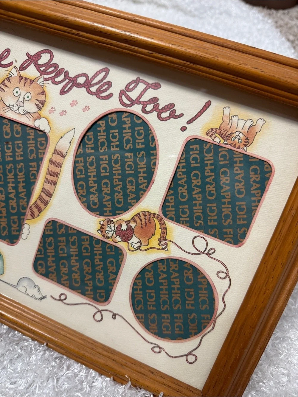 Framed picture holder for cats only!